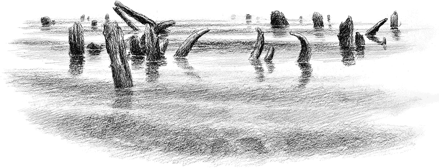Хоббит (с иллюстрациями) - i_053.png