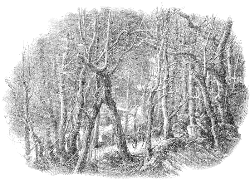Хоббит (с иллюстрациями) - i_063.png