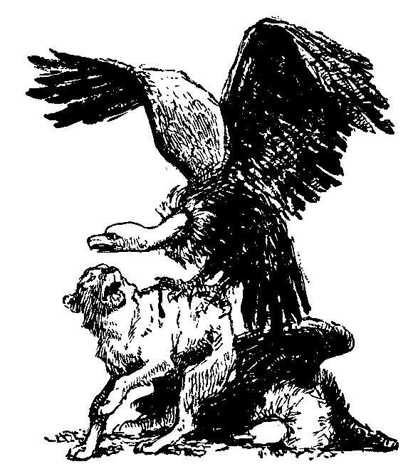 Пленники Барсова ущелья (илл. А. Лурье) 1956г. - pic_39.png