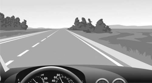 100 способов избежать аварии. Спецкурс для водителей категории В - _17.jpg