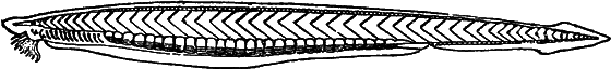 Жизнь моря - i_056.png