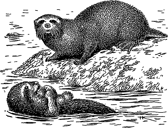 Жизнь моря - i_076.png