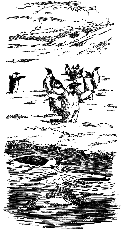 Жизнь моря - i_096.png