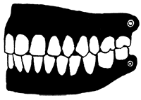 Империя Дикого леса - i_045.png