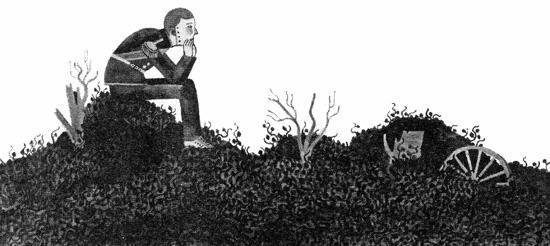 Империя Дикого леса - i_069.jpg