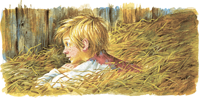 Расмус-бродяга (с иллюстрациями) - i_020.png