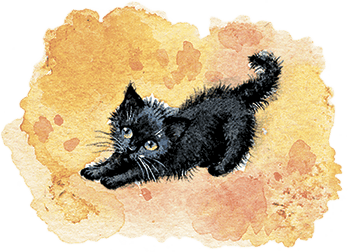Расмус-бродяга (с иллюстрациями) - i_027.png