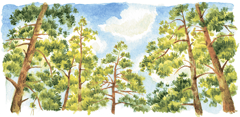 Расмус-бродяга (с иллюстрациями) - i_028.png