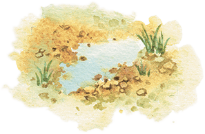 Расмус-бродяга (с иллюстрациями) - i_040.png