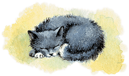 Расмус-бродяга (с иллюстрациями) - i_050.png