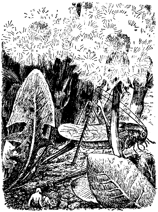 Необыкновенные приключения Карика и Вали (Художник Э. Кондиайн) - pic_11.png