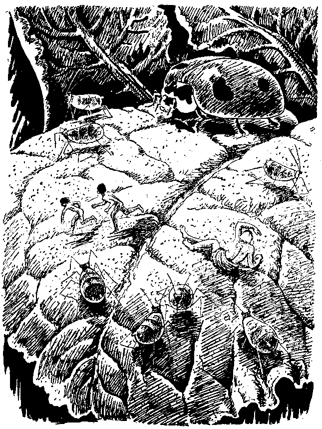 Необыкновенные приключения Карика и Вали (Художник Э. Кондиайн) - pic_13.png