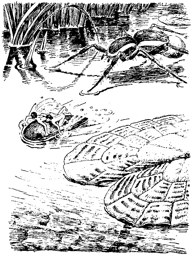 Необыкновенные приключения Карика и Вали (Художник Э. Кондиайн) - pic_8.png