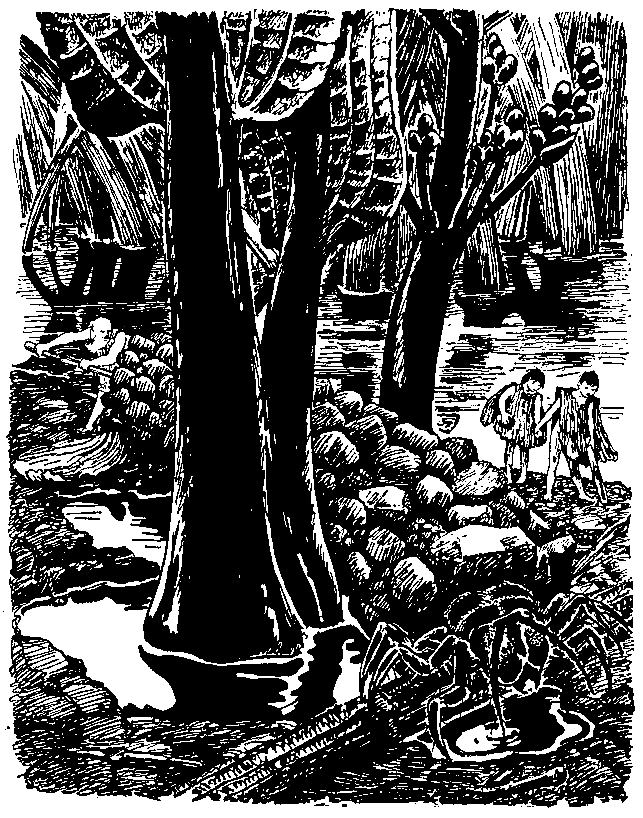Необыкновенные приключения Карика и Вали (Художник Э. Кондиайн) - pic_15.png