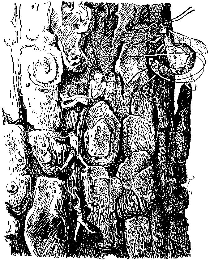 Необыкновенные приключения Карика и Вали (Художник Э. Кондиайн) - pic_17.png