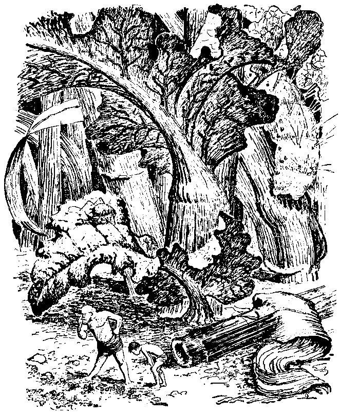 Необыкновенные приключения Карика и Вали (Художник Э. Кондиайн) - pic_19.png