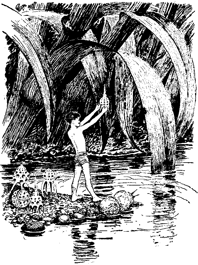 Необыкновенные приключения Карика и Вали (Художник Э. Кондиайн) - pic_22.png
