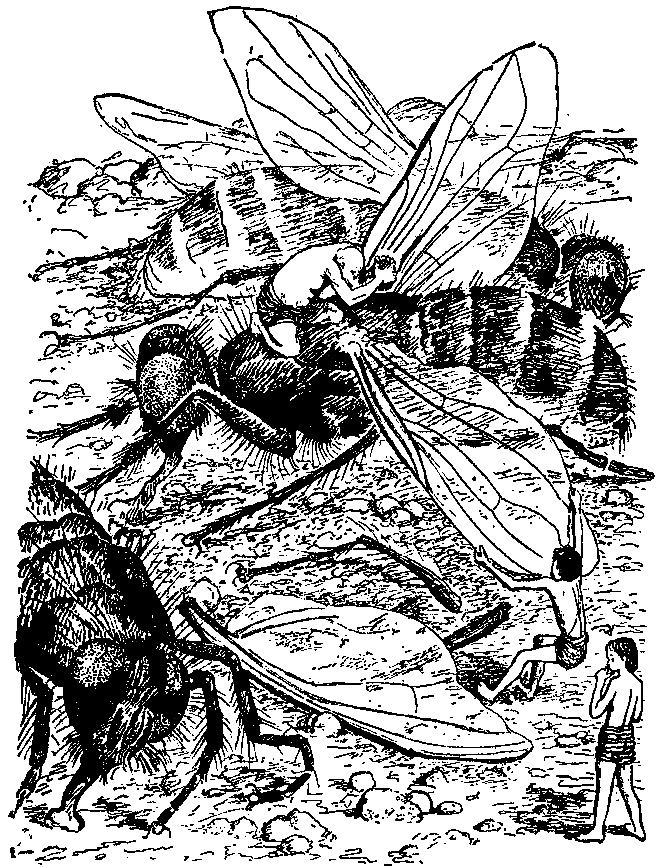 Необыкновенные приключения Карика и Вали (Художник Э. Кондиайн) - pic_26.png