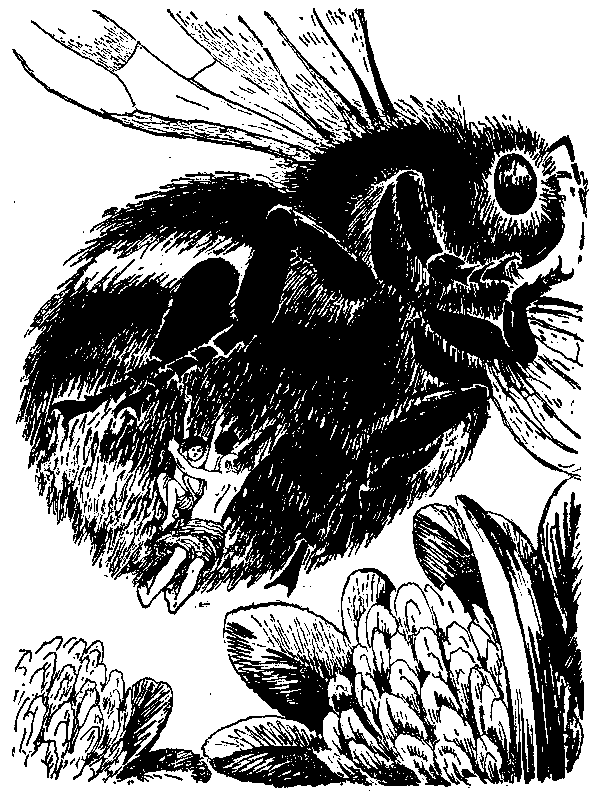 Необыкновенные приключения Карика и Вали (Художник Э. Кондиайн) - pic_27.png