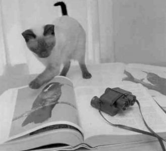 Книга для тех, кто делает слишком много - i_050.jpg