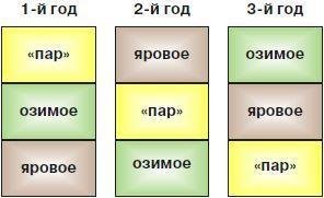 Всеобщая история. История средних веков. 6 класс - i_107.jpg