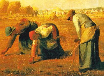 Всеобщая история. История Нового времени. 8 класс - i_228.jpg