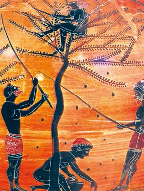 Всеобщая история. История Древнего мира. 5 класс - i_131.jpg