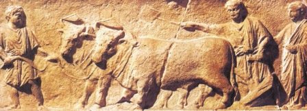 Всеобщая история. История Древнего мира. 5 класс - i_205.jpg