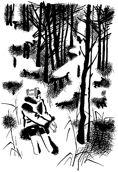 В голубых снегах - i_007.png