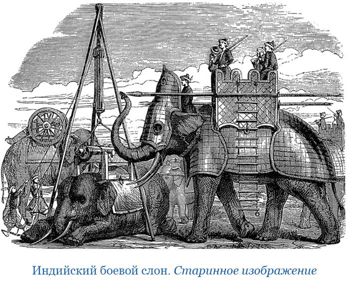 Хождение за три моря - i_015.jpg