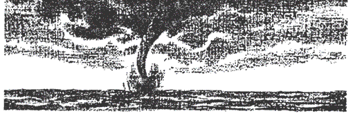 Кто есть кто в мире звезд и планет - i_022.png