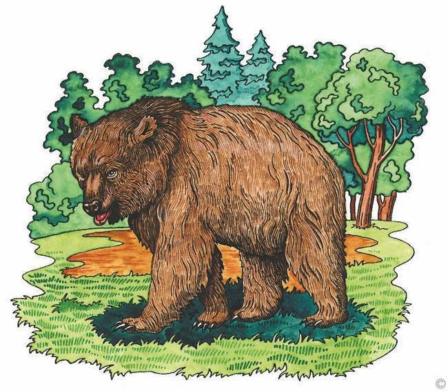 Литературное чтение - i_087.jpg