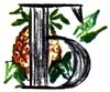 Учитель ботаники, или Разговор с растениями - i_045.jpg