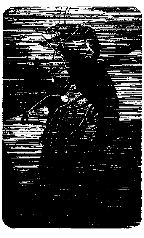 Затерянный мир (илл. Л. Фалина) - pic_18.png