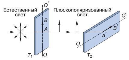 Естествознание. Базовый уровень. 10 класс - i_129.jpg