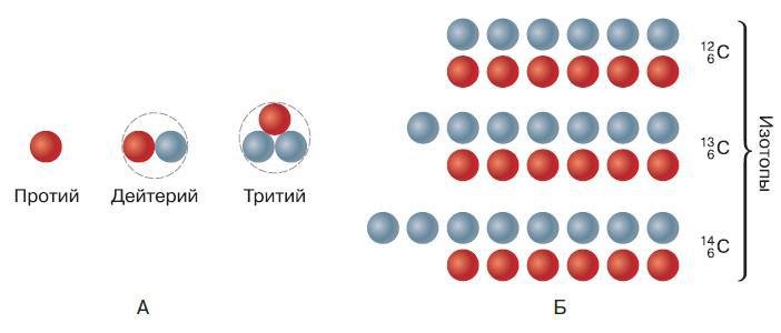 Естествознание. Базовый уровень. 10 класс - i_139.jpg