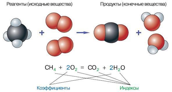 Естествознание. Базовый уровень. 10 класс - i_156.jpg