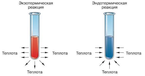 Естествознание. Базовый уровень. 10 класс - i_159.jpg