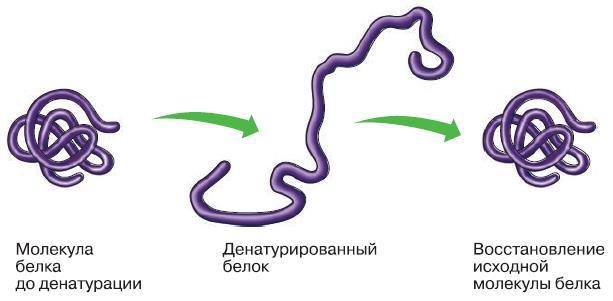Естествознание. Базовый уровень. 10 класс - i_182.jpg