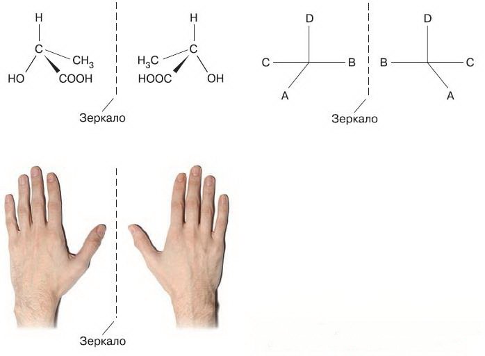Естествознание. Базовый уровень. 10 класс - i_221.jpg