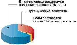 Биология. Общая биология. Базовый уровень. 10 класс - i_013.jpg