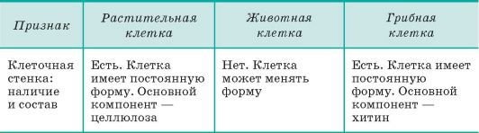 Биология. Общая биология. Базовый уровень. 10 класс - i_040.jpg