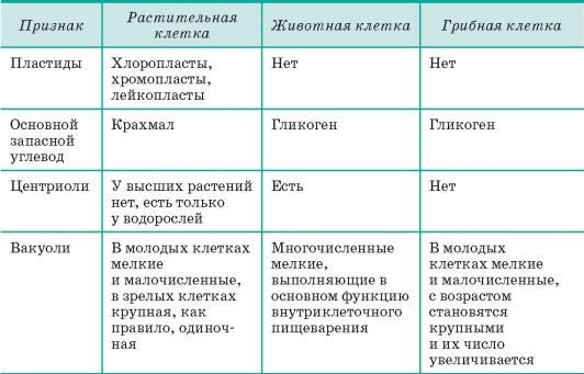 Биология. Общая биология. Базовый уровень. 10 класс - i_041.jpg