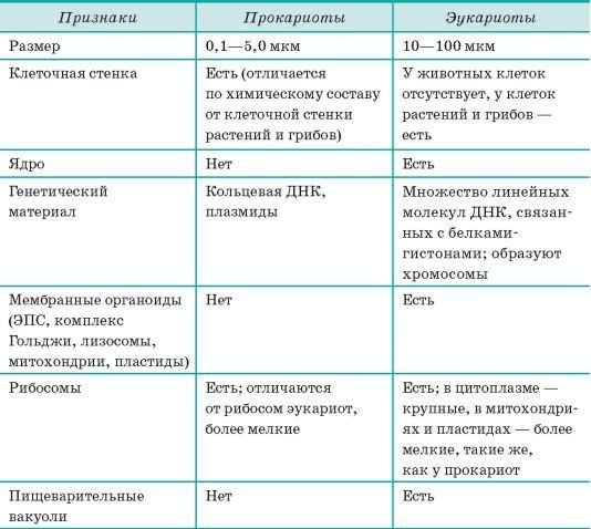 Биология. Общая биология. Базовый уровень. 10 класс - i_048.jpg