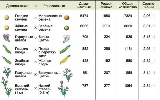 Биология. Общая биология. Базовый уровень. 10 класс - i_087.jpg