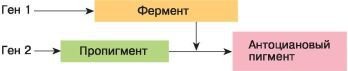 Биология. Общая биология. Базовый уровень. 10 класс - i_095.jpg