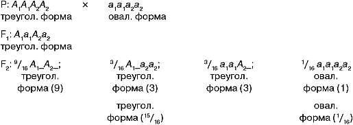 Биология. Общая биология. Базовый уровень. 10 класс - i_102.png