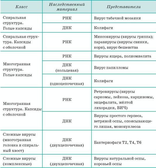Биология. Общая биология. Базовый уровень. 10 класс - i_129.jpg