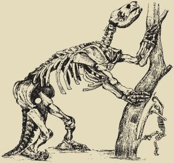 Биология. Общая биология. Базовый уровень. 11 класс - i_009.jpg