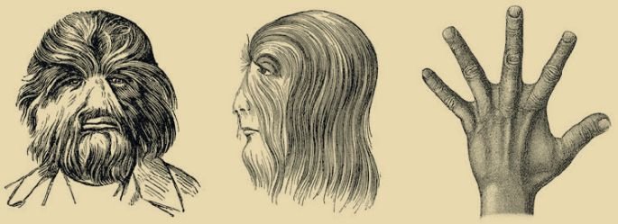 Биология. Общая биология. Базовый уровень. 11 класс - i_060.jpg